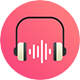 audio converter